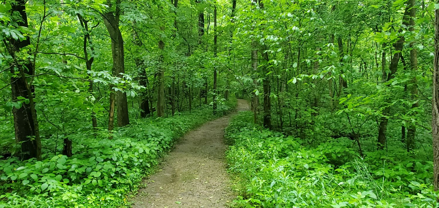 Fox Ridge State Park 